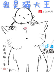 我是猫大王